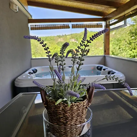 Apartman Goga With Pool And Jacuzzi *